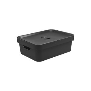 Caixa Organizadora Cube 10,5 Litros Com Tampa 36,5x27,5x13cm