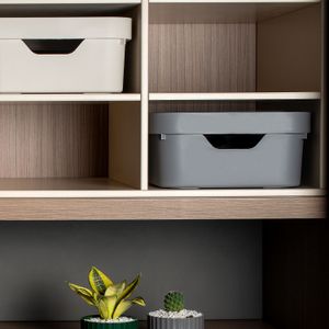 Caixa Organizadora Cube 10,5 Litros Com Tampa 36,5x27,5x13cm